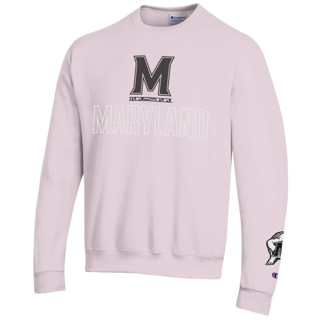 Champion Reverse Weave Hoodies