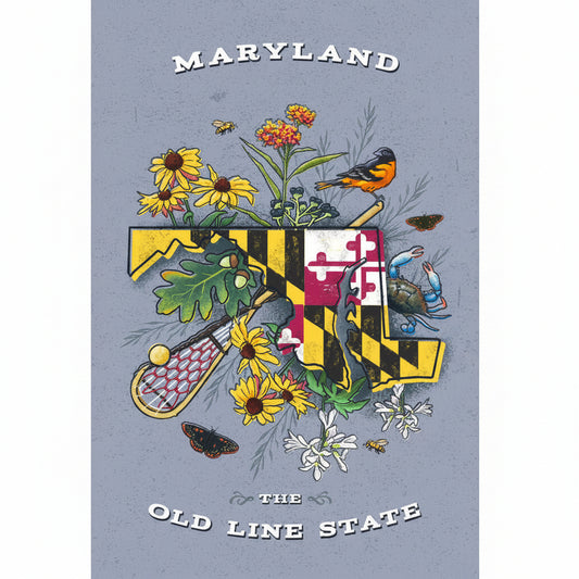Maryland State Treasure Trove Postcard | Maryland Souvenir Postcard