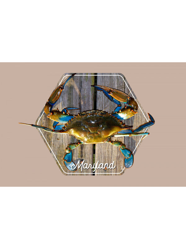 Maryland Blue Crab on Dock Postcard