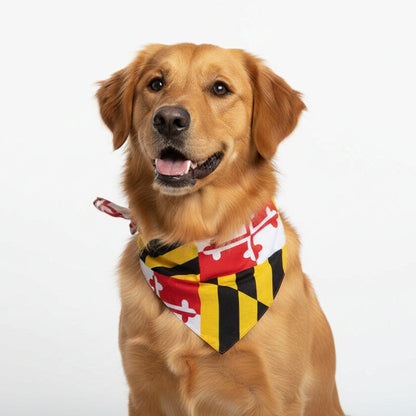 Maryland Flag Bandana (2 Pack)